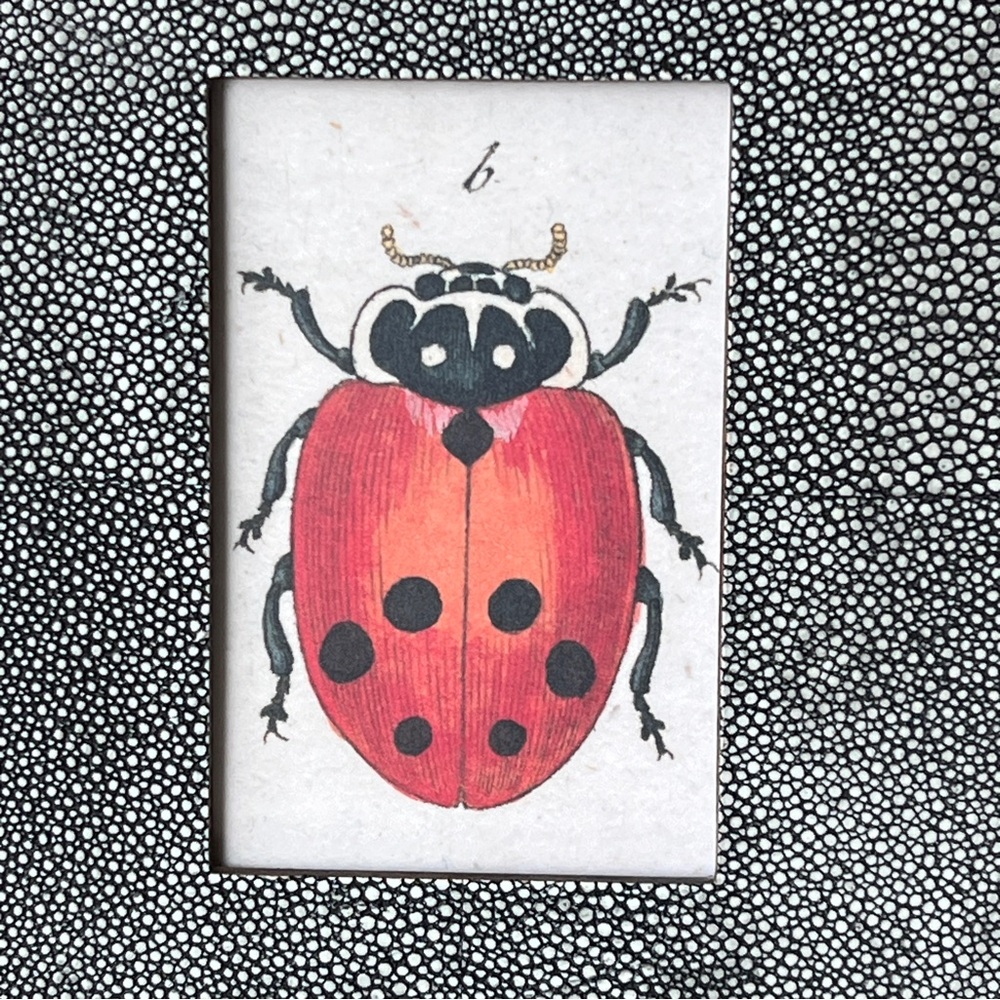 JOHN DERIAN Ladybug Beetle Framed Art Print Polka Dots Modern Folk Craft Style